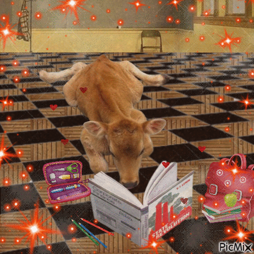 School Cow - GIF animado gratis