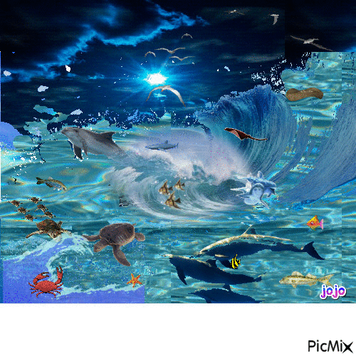 mer - Ilmainen animoitu GIF