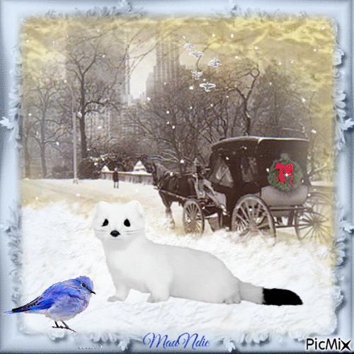 arrivée de l'hiver - Darmowy animowany GIF