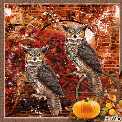 Owl - autumn - Ingyenes animált GIF