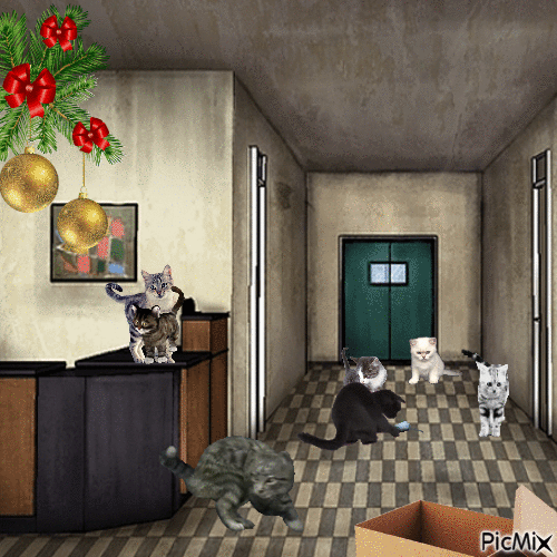 Merry Cat's Christmas! - Бесплатни анимирани ГИФ