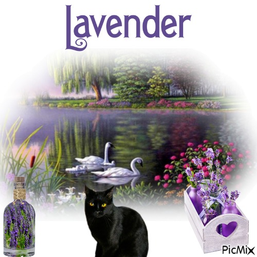Lavender Essence - besplatni png