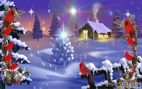 A PRETTY WINTER SCENE A DECROATED TREE WITH A TWINKLING STAR, LOTS OF RED CARDINALS, SMOKE COMING OUT OF THE CHIMINEY, STARS SMARKLING. - GIF animate gratis