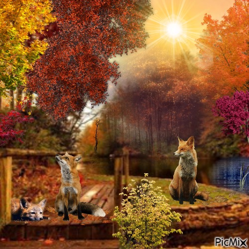 Foxes And Fall - zdarma png