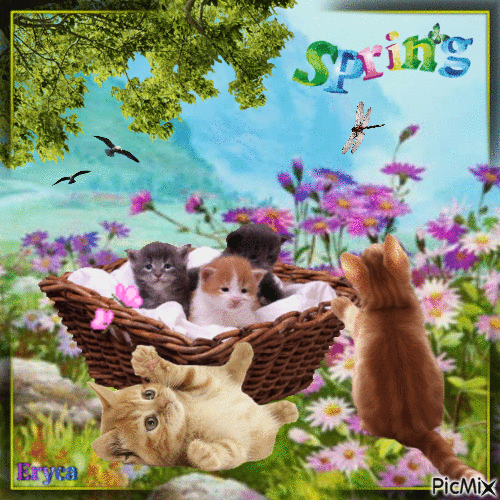 Chatons, fleurs et papillons - GIF animé gratuit