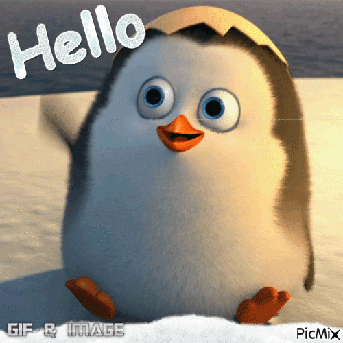 hello pingouin - Free animated GIF - PicMix