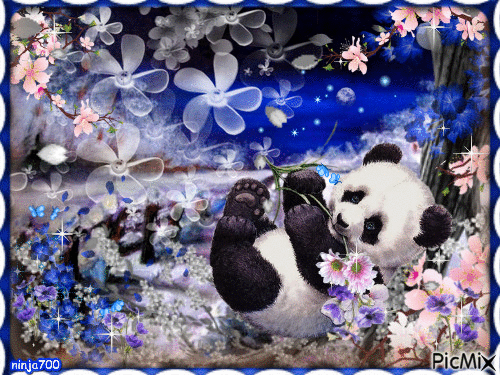 Il panda - Ilmainen animoitu GIF