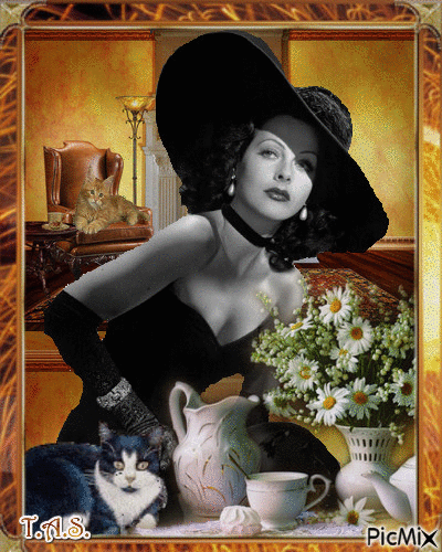 Lady whith black hat & her cat - 免费动画 GIF