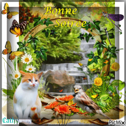 BONNE SOIRÉE - Безплатен анимиран GIF