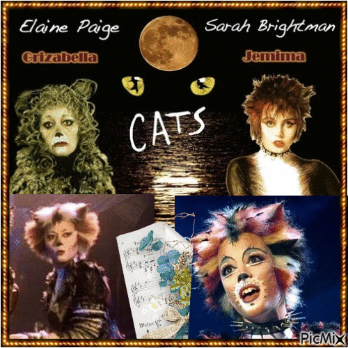 Cats the London cast - Free animated GIF