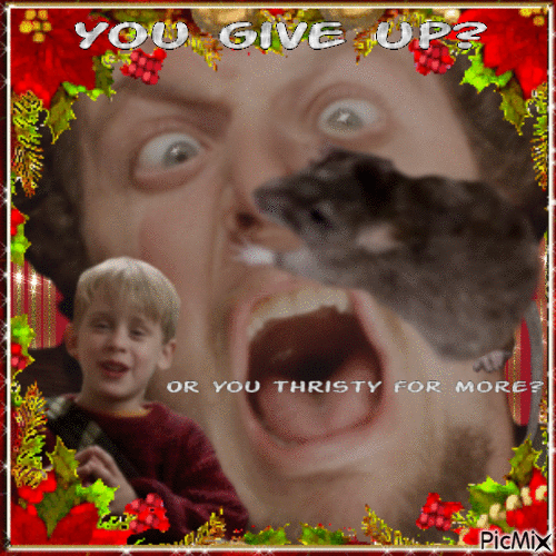 Marv with rat on face (Spider Scene) Home Alone - 免费动画 GIF