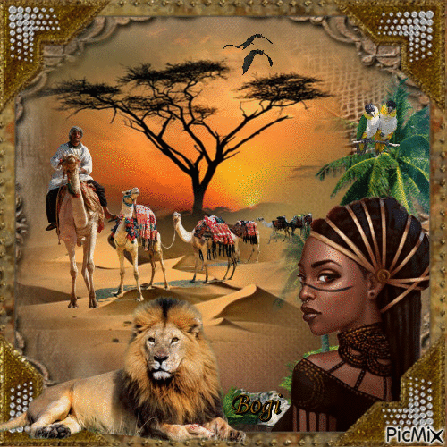 Africa... - 免费动画 GIF