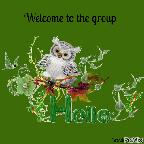 welcome owl - Bezmaksas animēts GIF