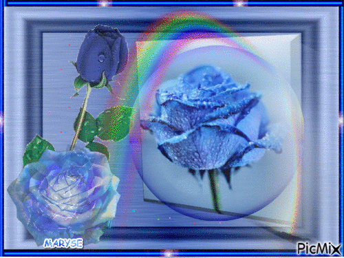 blue rose - Darmowy animowany GIF