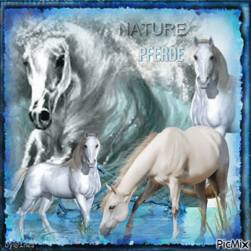 Weiße Pferde - Besplatni animirani GIF