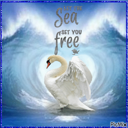 Let the Sea set you Free - GIF animé gratuit