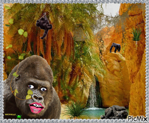 les gorilles - GIF animate gratis