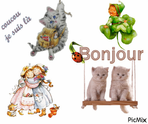 les chatons jouent - Darmowy animowany GIF