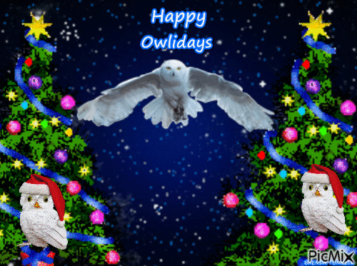 Christmas owl - Безплатен анимиран GIF