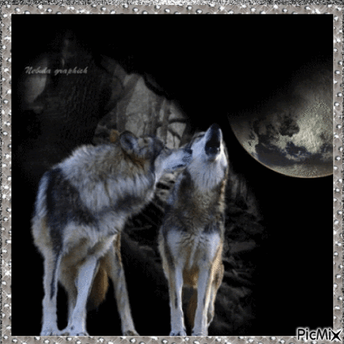 Les Loups - Darmowy animowany GIF