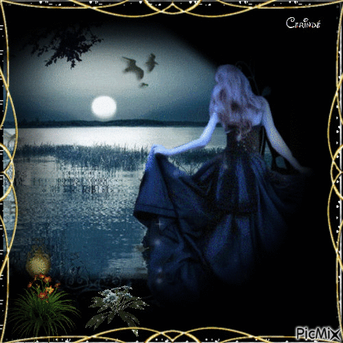 Clair de lune - Darmowy animowany GIF