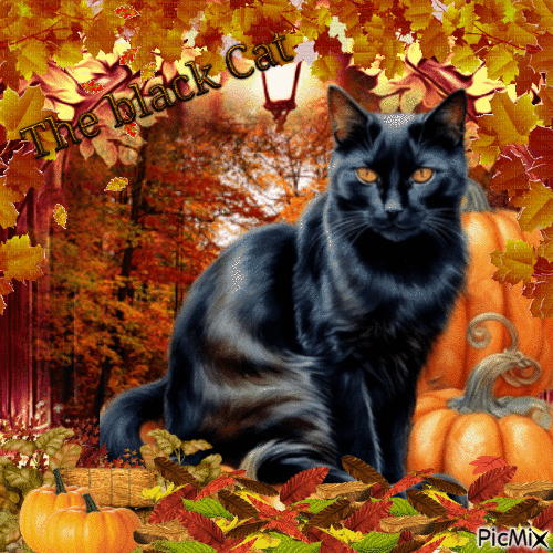 The Black Cat - Animovaný GIF zadarmo