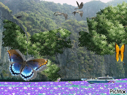 Бабочки - Δωρεάν κινούμενο GIF