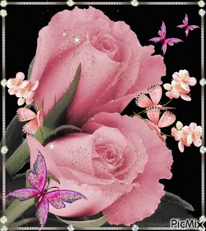 2 pink roses. - Zdarma animovaný GIF
