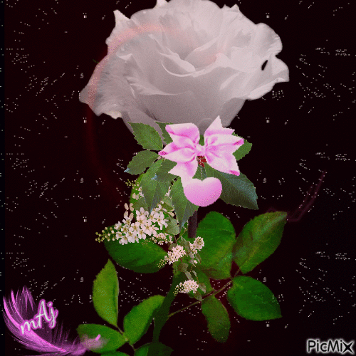 Concours "Rose" - GIF animado gratis