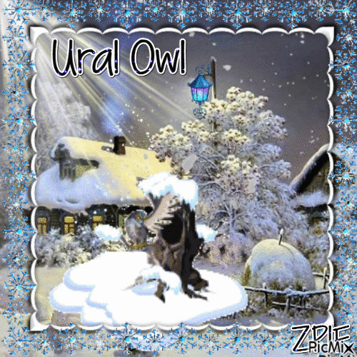 Ural Owl - GIF animasi gratis