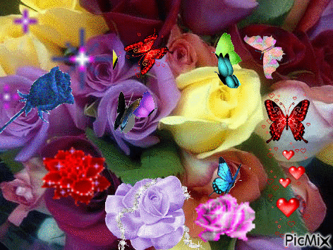 BUTTERFLY ARE FREE - GIF animasi gratis