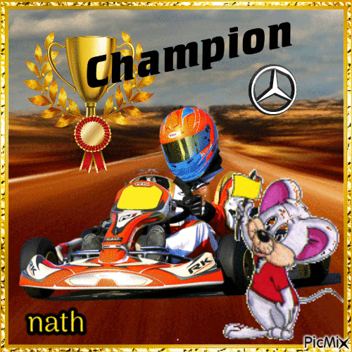 Karting,concours - Free animated GIF