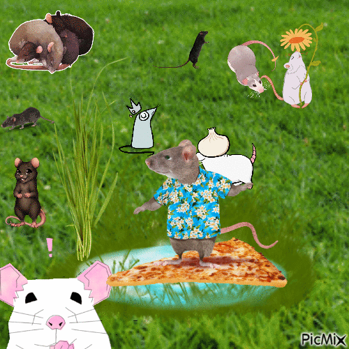 THE RATS ARE TAKING OVER!!!!!!! - Nemokamas animacinis gif