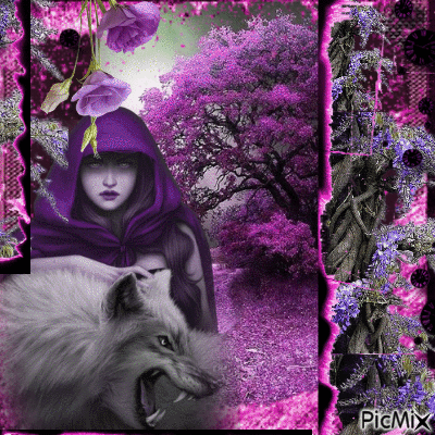 dark purple forrest - Besplatni animirani GIF