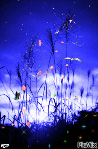 buğday - Безплатен анимиран GIF