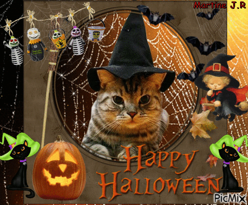 Chat Halloween - GIF animate gratis