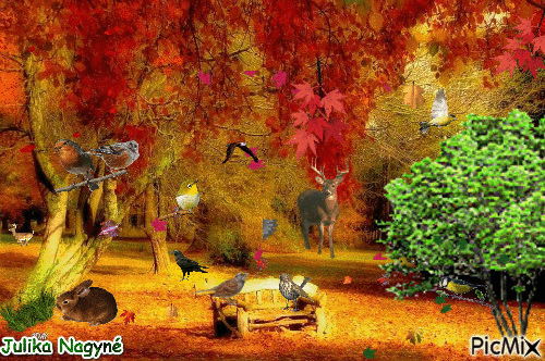 Autumn landscape! - Бесплатный анимированный гифка