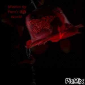 Red Rose - Безплатен анимиран GIF
