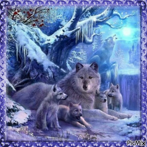 Loups en hiver - Tons bleus et violets. - фрее пнг