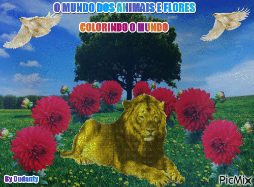 COLORINDO O MUNDO - Darmowy animowany GIF