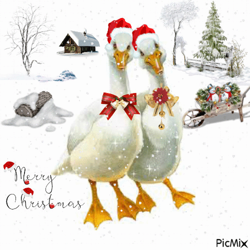 Christmas Geese - Безплатен анимиран GIF