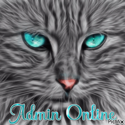 admin online - Free animated GIF