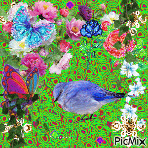 the bird in the country flowers - GIF animado gratis