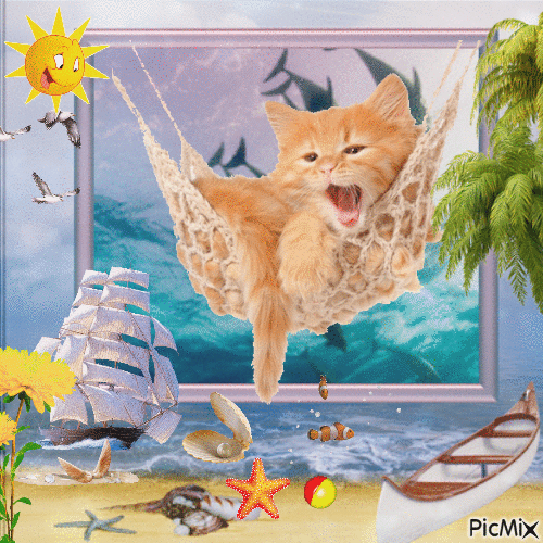☆☆  Cat summer ☆☆ - Darmowy animowany GIF