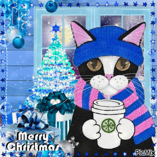 Christmas cat-contest - Free animated GIF