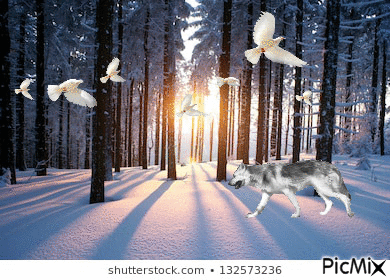 En la nieve - Ingyenes animált GIF