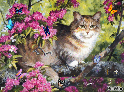 Cat in a Tree with Butterflies - Безплатен анимиран GIF