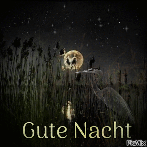 Gute Nacht - Besplatni animirani GIF