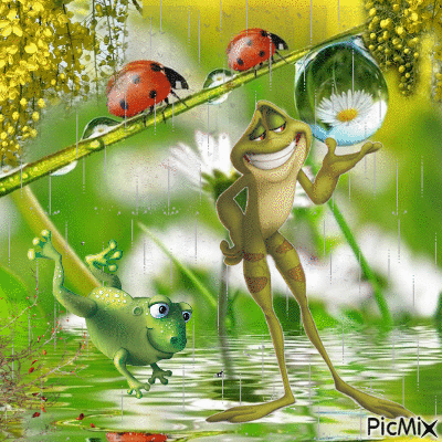 spring rain frog - Animovaný GIF zadarmo