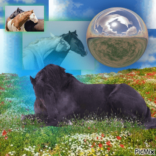 what do sleeping horses dream about? - GIF animate gratis